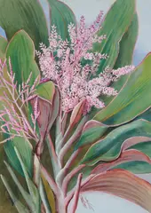 Ellis Rowan, Flowering Cordylines, watercolour and gouache on paper
