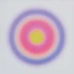 Jonny Niesche, Atoms Encode (Sunburst), 2016, voile, acrylic mirror