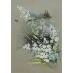 Ellis Rowan, American Wildflowers with Bees, watercolour on paper
