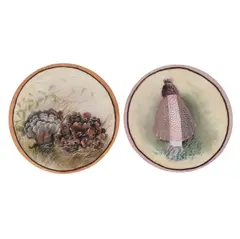 Ellis Rowan, Pair of Fungi, gouache on silk (2)
