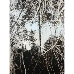 Andrew Browne, Periphery #2 (Veil), 2010, oil on linen
