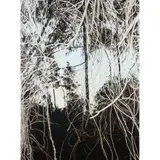 Andrew Browne, Periphery #2 (Veil), 2010, oil on linen