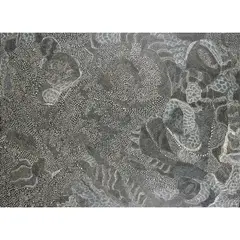(Language Group: Pitjantjatjara) by Jorna Newberry, acrylic on linen, sold May 2025