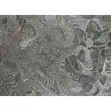 Jorna Newberry, (Language Group: Pitjantjatjara), acrylic on linen