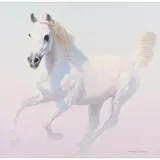 Lawrence Starkey, Morning White Arab Mare, oil on canvas