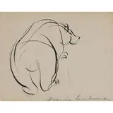 Francis Lymburner, Polar Bear, ink on paper
