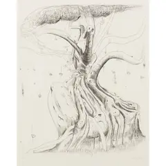 Brett Whiteley, Moreton Bay Fig, 1979, etching, ed. 37/200