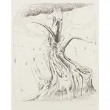 Brett Whiteley, Moreton Bay Fig, 1979, etching, ed. 37/200