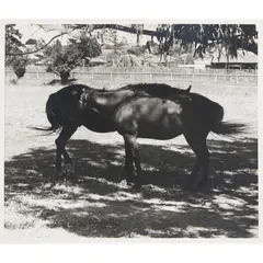 Eric Anchor Thake, A Hot Day at Heidelberg, 1965, silver gelatin photograph