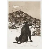 Nicholas Harding, Untitled