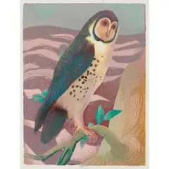 Masked Owl by Murray Griffin, c.1966, linocut, ed. 12/26, sold Apr 2025