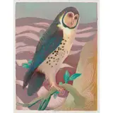Murray Griffin, Masked Owl, c.1966, linocut, ed. 12/26