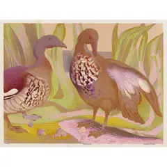 Murray Griffin, Woodduck, 1940, linocut, ed. 22/28