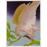 Murray Griffin, Grey Hawk, c.1974, linocut, ed. 10/27