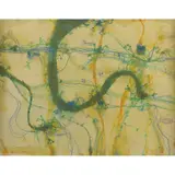 John Olsen, Frogs & Banana Leaf II, watercolour and pastel on paper