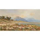 Ellis Rowan, Wildflowers