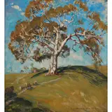 Dora L. Wilson, A Pioneer (Old Gisborne)