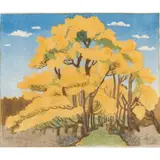 Helen Ogilvie, Wattle Trees