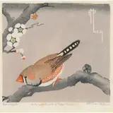 Ethleen Palmer, Zebra Finch and Tea Tree, 1934, linocut