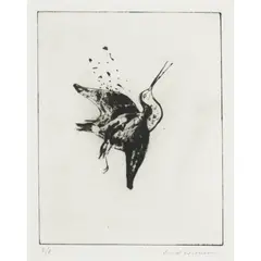 Fred Williams, Shot Snipe, 1974, electric hand engraving, engraving and flat biting, ed. 8/8