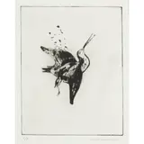 Fred Williams, Shot Snipe, 1974, electric hand engraving, engraving and flat biting, ed. 8/8