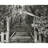 "Maori Cemetery", Waimate, South Canterbury, 25 April by Laurence Aberhart, 1999, gold and selenium toned gelatin silver print, sold Nov 2024