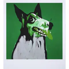 Adam Cullen, Growler (Green), 2011, archival pigment print, ed. A/P
