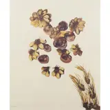 Flowers by Sidney Nolan, archival pigment print, sold Nov 2024