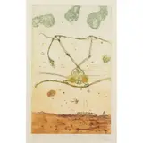 John Olsen, Kimberley Tree Frog, 1984, etching, ed. 6/100