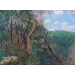 William Robinson, Sunlight and Shadow, Goomoolahra, 2001, pastel on paper