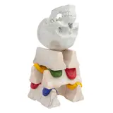 Alex Seton, Target Hardener, 2019, Wombeyan marble, melted polystyrene and pigment