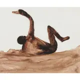 Sidney Nolan, Leda and Swan