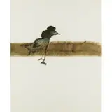 Bird by Sidney Nolan, c.1982, mixed media on paper, sold Feb 2024