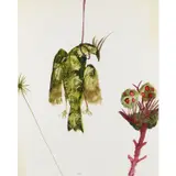 Bird and Butterfly by Sidney Nolan, 1984, mixed media on paper, sold Feb 2024