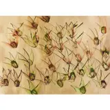 Paradise Garden by Sidney Nolan, 1968, mixed media on paper, sold Feb 2024