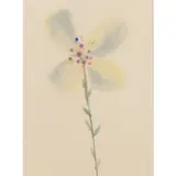 Sidney Nolan, Flower, c.1952, watercolour on paper