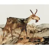 Goat, Greece by Sidney Nolan, 1956, mixed media on paper, sold Feb 2024