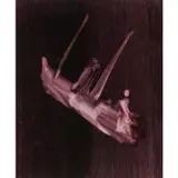 We Worship the Indian Ocean Where We Drown! by Sidney Nolan, 1965, mixed media on paper, sold Feb 2024