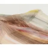 Gallipoli Landscape by Sidney Nolan, c.1958, mixed media on paper, sold Feb 2024