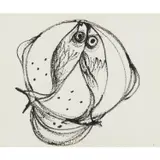 Fish in a Colander by Sidney Nolan, c.1955, ink on paper, sold Feb 2024