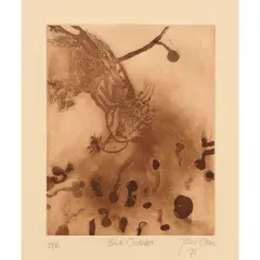 Black Cockatoo by John Olsen, 1978, etching 30/60, sold Apr 2024