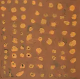 Bob Gibson Tjungarrayi, (Language group: Ngaanyatjarra/Pintupi), synthetic polymer paint on canvas