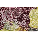 Harry Tjutjuna, (Language group: Pitjantjatjara), synthetic polymer paint on canvas