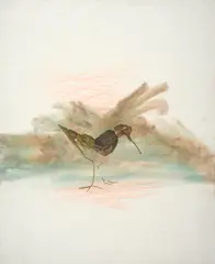 Bird by Sidney Nolan, 1963, mixed media on paper, sold Oct 2023