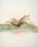 Bird by Sidney Nolan, 1963, mixed media on paper, sold Oct 2023