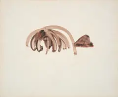 Carcass by Sidney Nolan, c.1954, mixed media on paper, sold Aug 2023