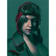 Kathrin Longhurst, Postcard from the Battlefield Green, 2016, oil on canvas
