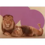 Sam Leach, Two Lions