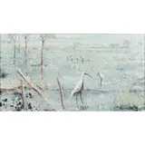 Clifton Pugh, Swamp Birds