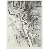 Fred Williams, Wild Dog Creek I, lithograph, ed. O.K to print P/P